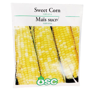 Corn - Nirvana Seeds, OSC Large Pack