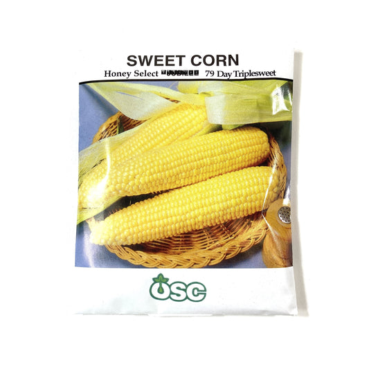 Sweet Corn - Honey Select Seeds, OSC Large Pack