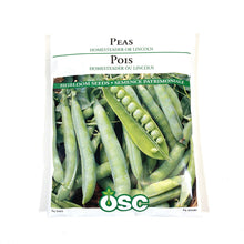 Load image into Gallery viewer, Pea - Lincoln Homesteader Seeds, OSC Large Pack
