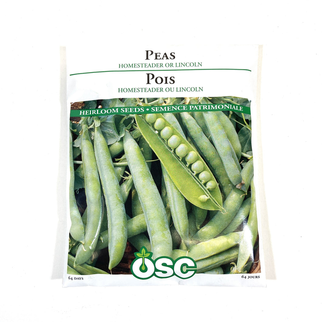 Pea - Lincoln Homesteader Seeds, OSC Large Pack