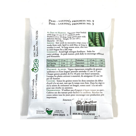 Pea - Laxton's Progress No 9 Seeds, OSC Large Pack