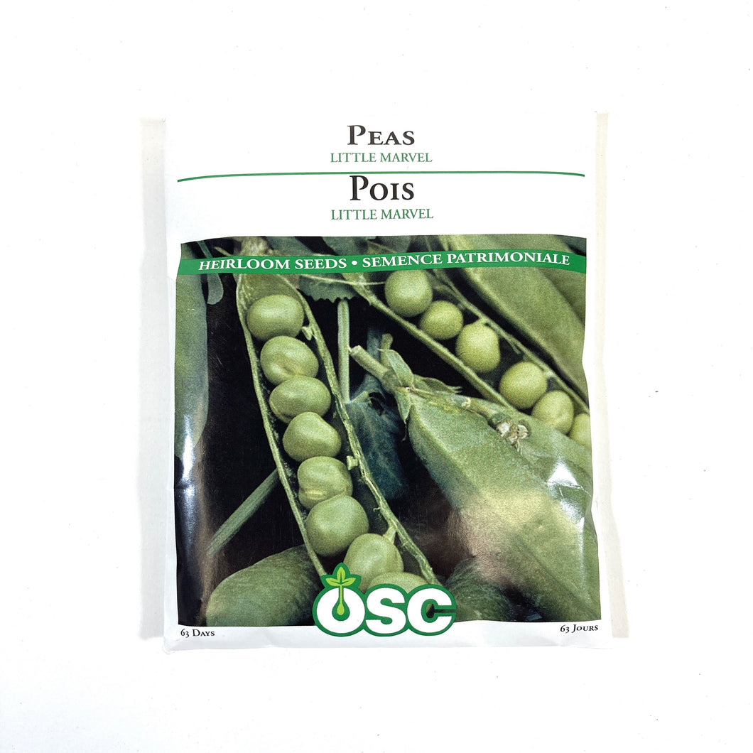 Pea - Little Marvel Seeds, OSC Large Pack