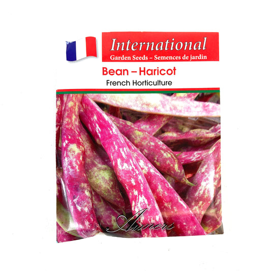 Bean Bush - French Horticultre Seeds, Aimers Int'l - Floral Acres Greenhouse & Garden Centre