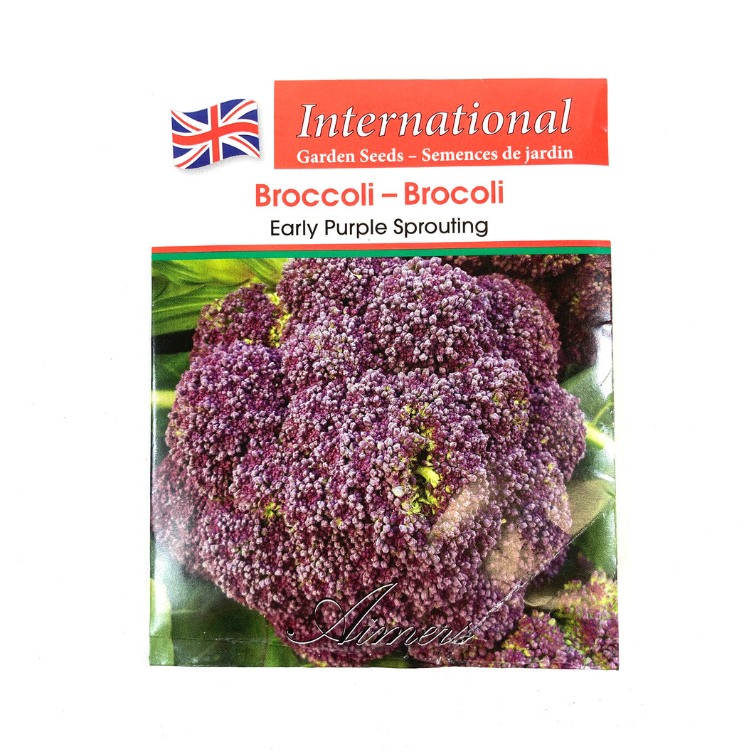 Broccoli - Purple Sprouting Seeds, Aimers Int'l - Floral Acres Greenhouse & Garden Centre