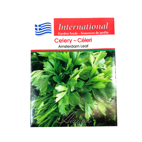 Celery - Amsterdam Leaf Seeds, Aimers Int'l - Floral Acres Greenhouse & Garden Centre