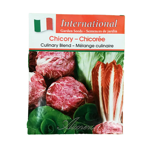 Chicory - Culinary Blend Seeds, Aimers Int'l