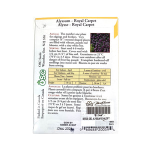 Alyssum - Royal Carpet Seeds, OSC