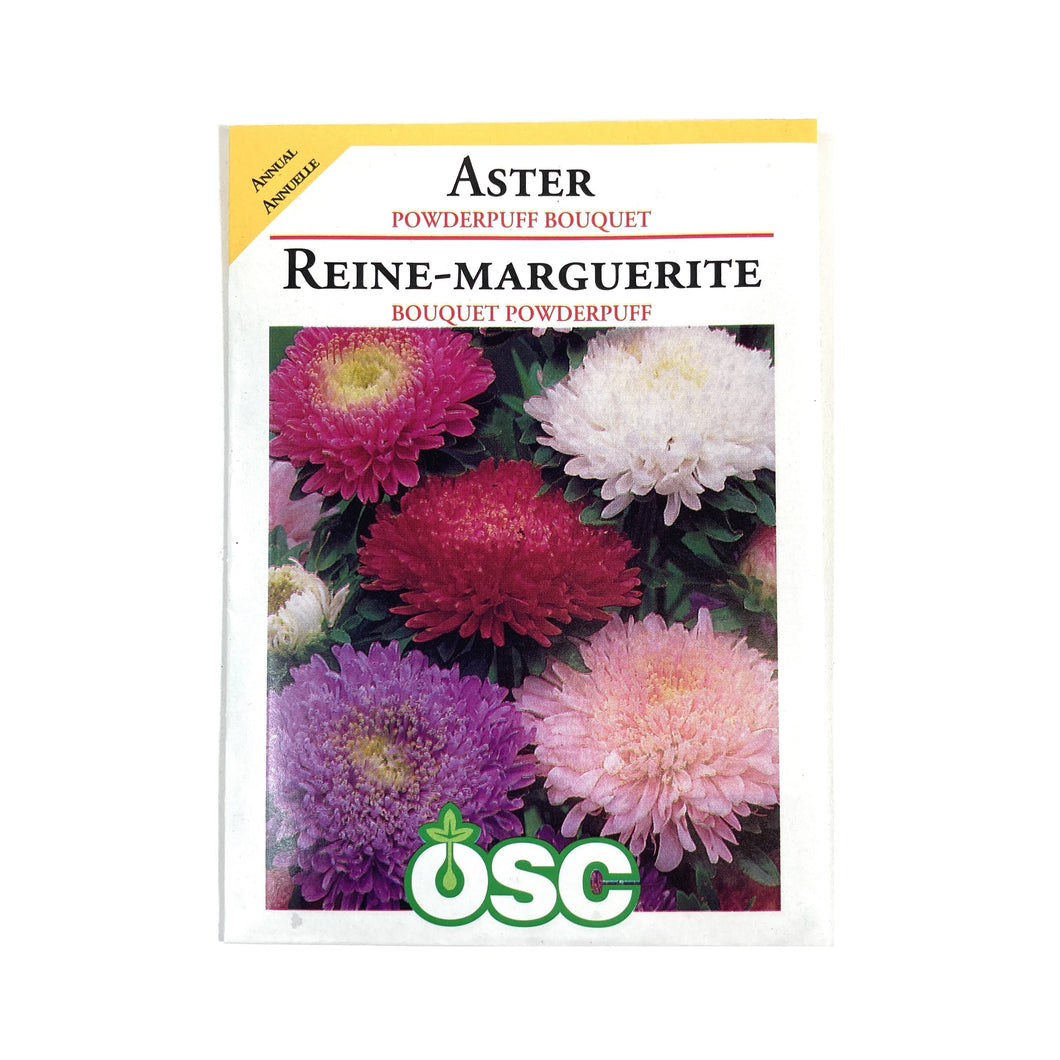 Aster - Powderpuff Bouquet Seeds, OSC