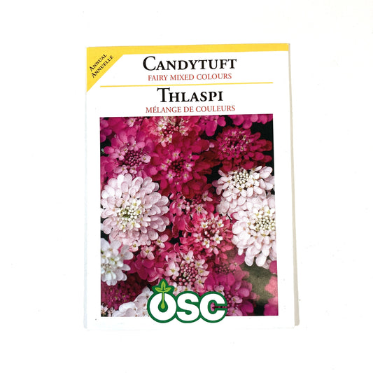 Candytuft - Fairy Mixture Seeds, OSC