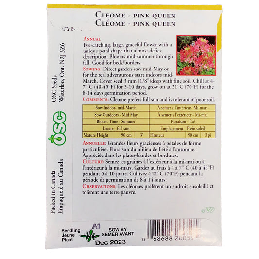 Cleome - Pink Queen Seeds, OSC