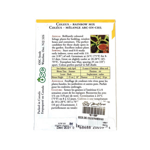 Coleus - Rainbow Mixture Seeds, OSC