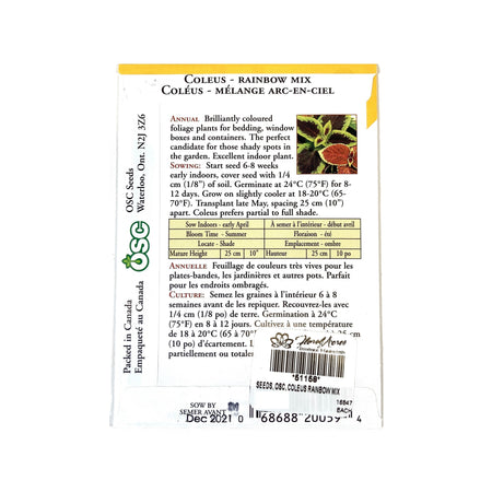 Coleus - Rainbow Mixture Seeds, OSC