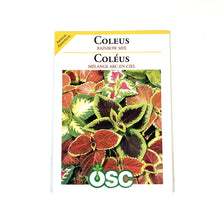 Load image into Gallery viewer, Coleus - Rainbow Mixture Seeds, OSC
