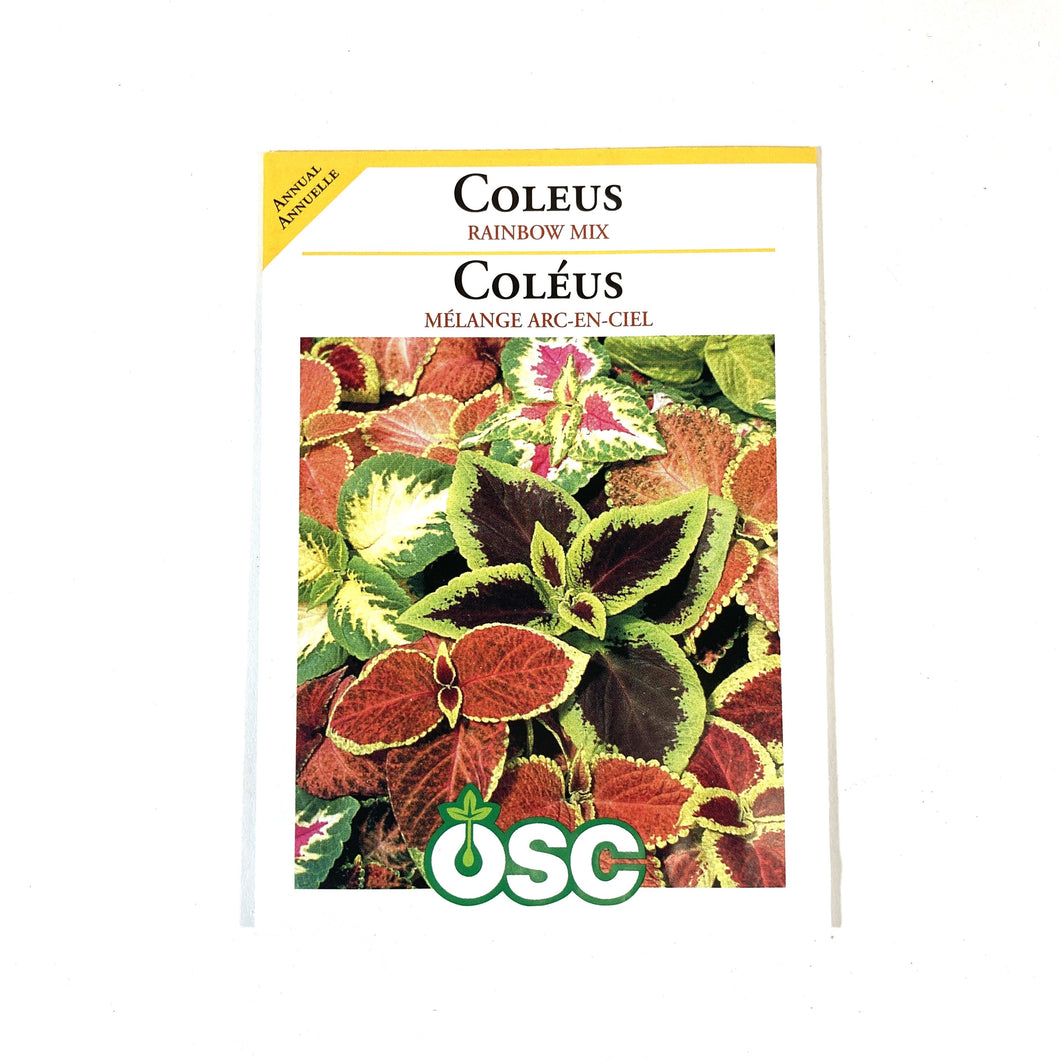 Coleus - Rainbow Mixture Seeds, OSC