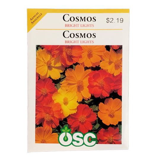 Cosmos - Bright Lights Seeds, OSC