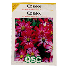Load image into Gallery viewer, Cosmos - Cosimo Seeds, OSC
