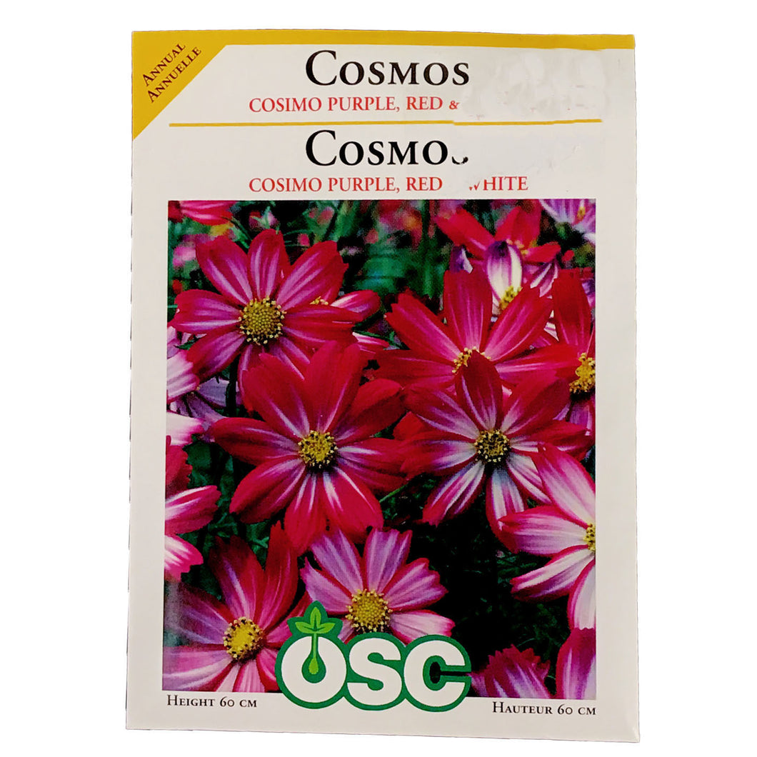 Cosmos - Cosimo Seeds, OSC