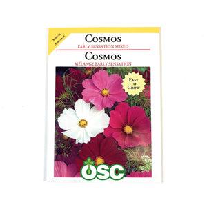 Cosmos - Sensation Mixed Seeds, OSC