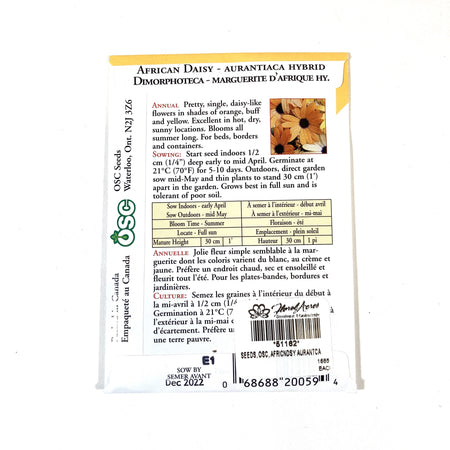 African Daisy - Aurantica Hybrids Seeds, OSC