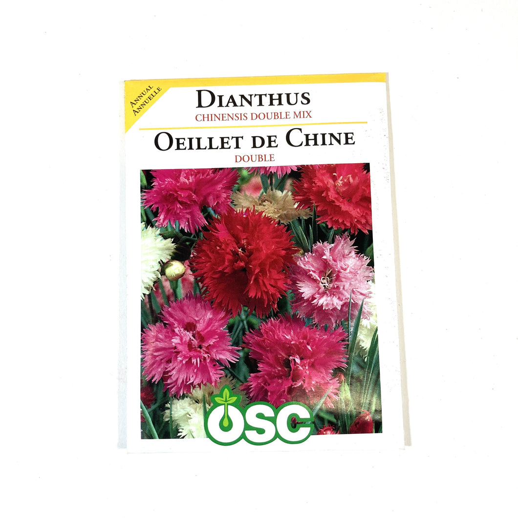 Dianthus - Double Mixed Seeds, OSC