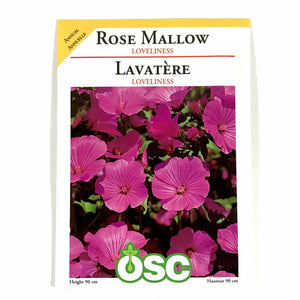 Lavatera - Loveliness (Pink) Seeds, OSC