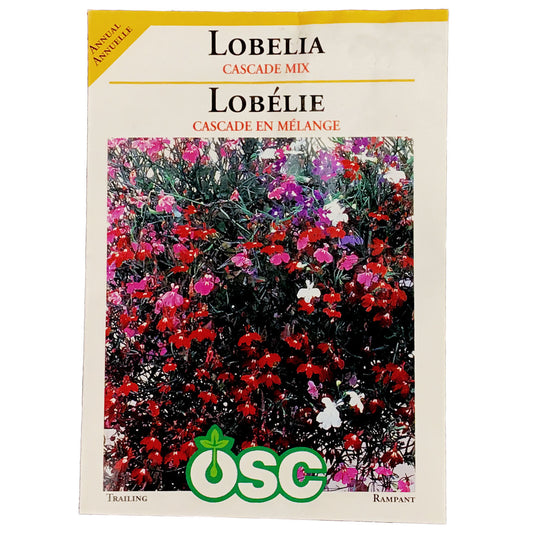 Lobelia - Cascade Mixture Seeds, OSC