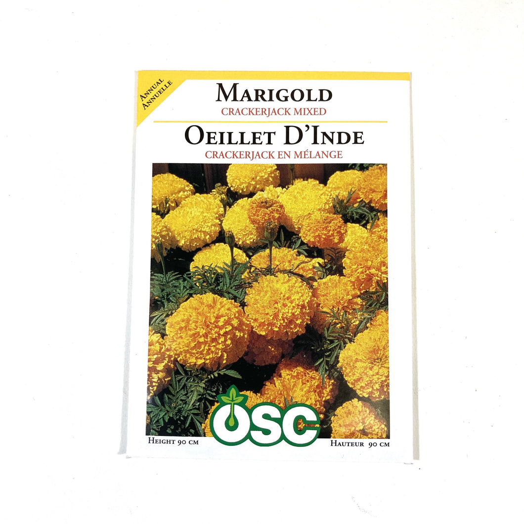 Marigold - Crackerjack Mixed Seeds, OSC