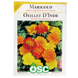 Marigold - Dwarf French Petite Seeds, OSC