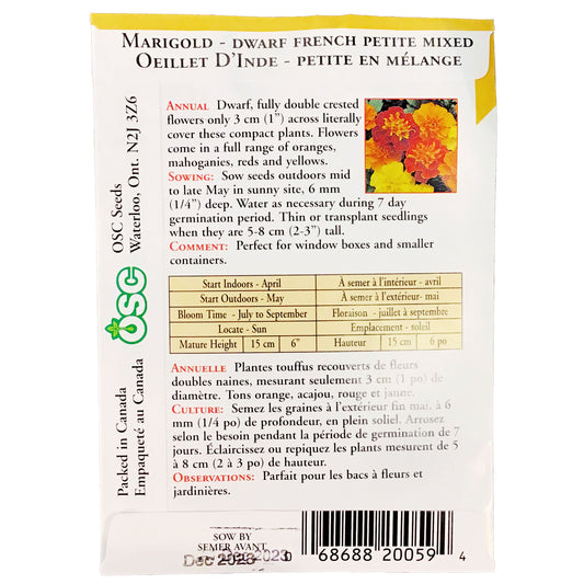 Marigold - Dwarf French Petite Seeds, OSC