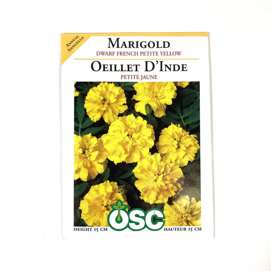Marigold - Petite Yellow Seeds, OSC