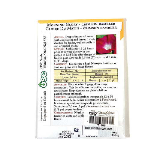 Morning Glory - Crimson Rambler Seeds, OSC