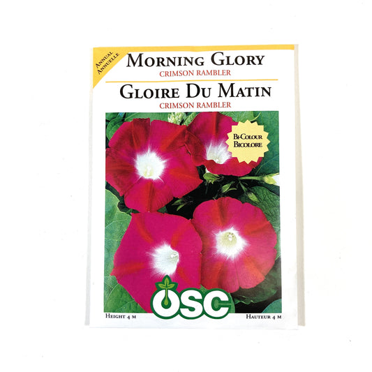 Morning Glory - Crimson Rambler Seeds, OSC