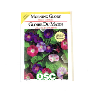 Morning Glory - Mixed Colours Seeds, OSC