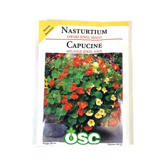 Nasturtium - Dwarf Jewel Mixed Seeds, OSC