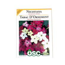 Load image into Gallery viewer, Nicotiana - Sensation Mixed Seeds, OSC
