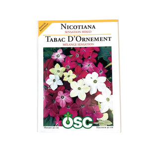 Nicotiana - Sensation Mixed Seeds, OSC
