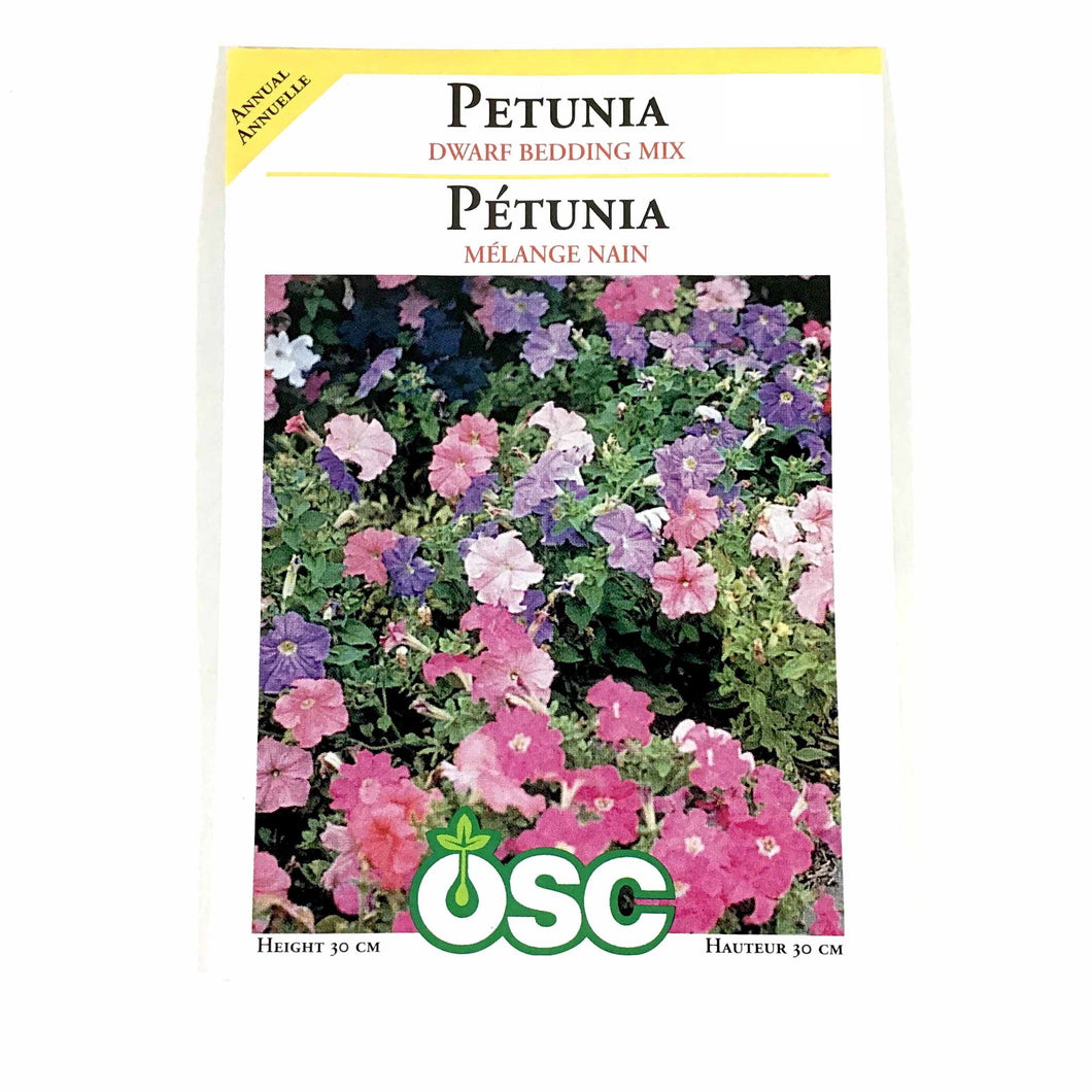 Petunia - Gradiflora Dwarf Bedding Seeds, OSC