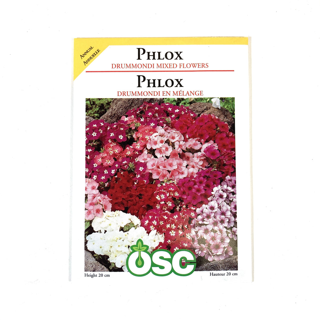 Phlox - Drummondii Mixed Seeds, OSC