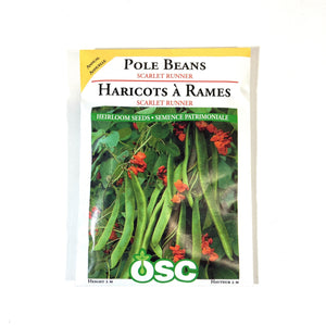 Bean Climbing - Scarlet Runner Seeds, OSC