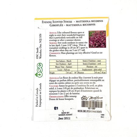 Stock - Evening Scented Seeds, OSC