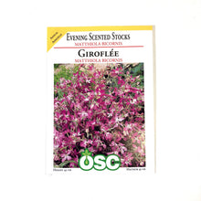 Load image into Gallery viewer, Stock - Evening Scented Seeds, OSC
