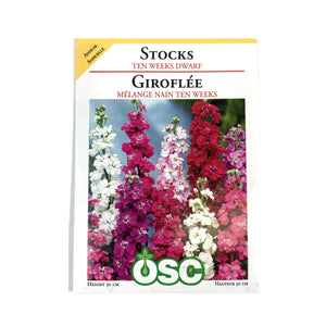 Stock - Ten Weeks Dwarf Seeds, OSC