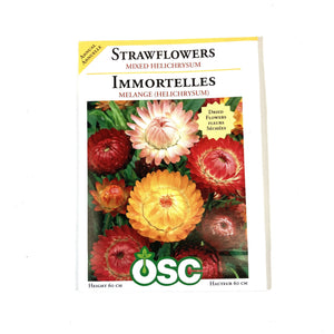 Strawflower - Mixed Colour Seeds, OSC