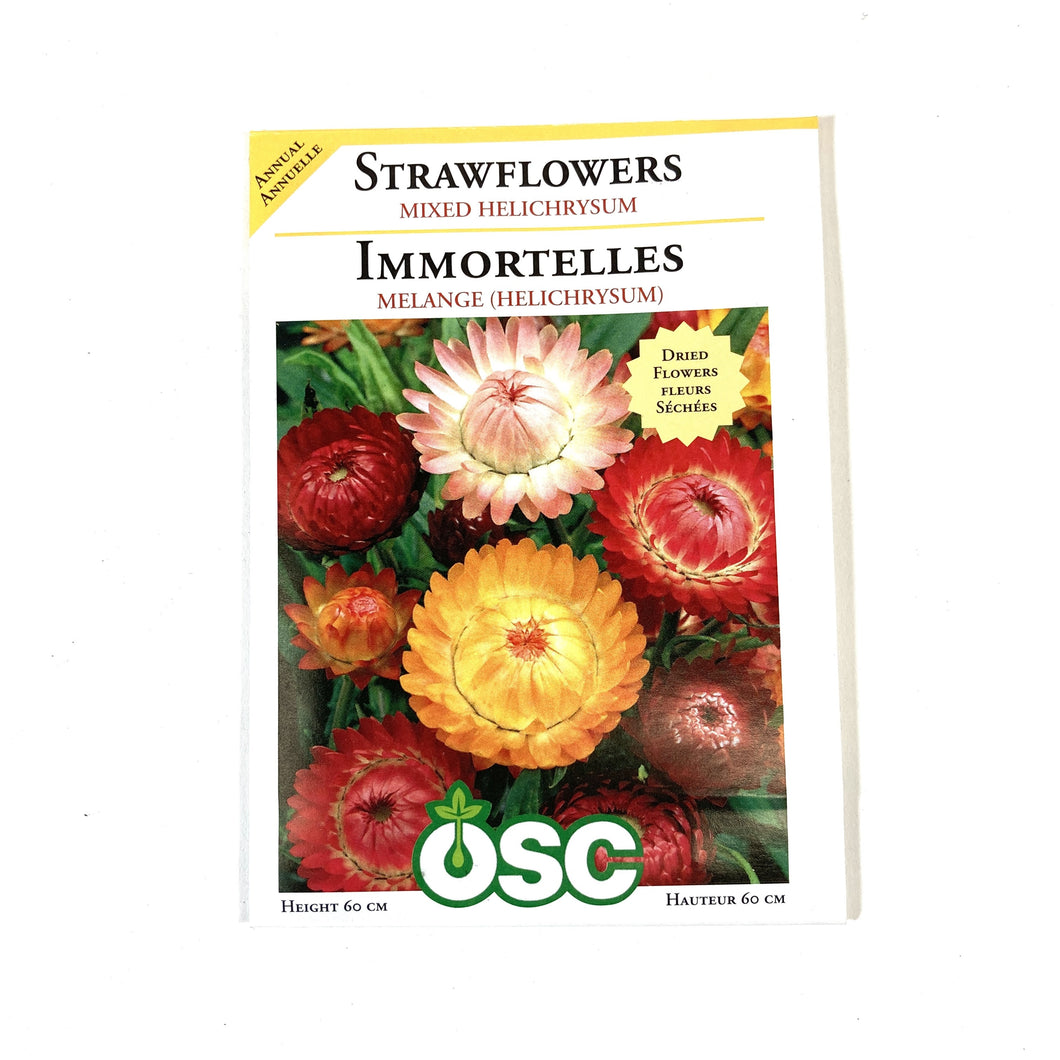 Strawflower - Mixed Colour Seeds, OSC