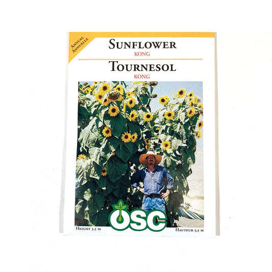 Sunflower - Kong Seeds, OSC
