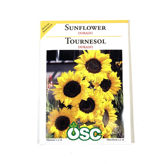 Sunflower - Dorado Seeds, OSC