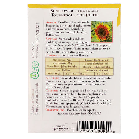 Sunflower - The Joker Seeds, OSC