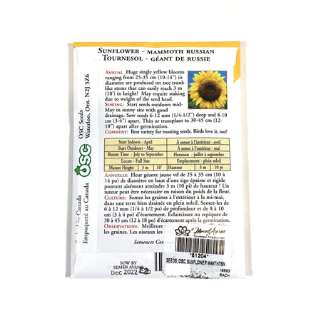 Sunflower - Large Grey Striped Seeds, OSC