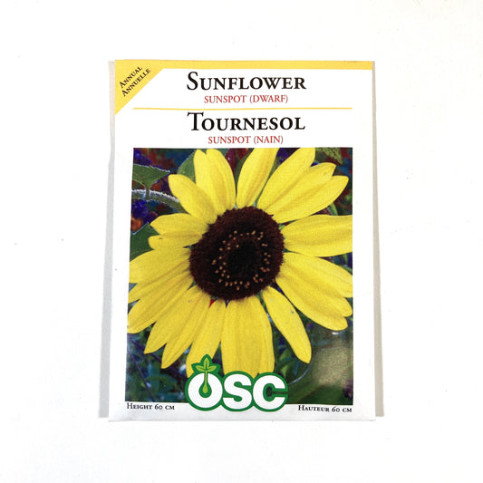 Sunflower - Sunspot Dwarf Seeds, OSC
