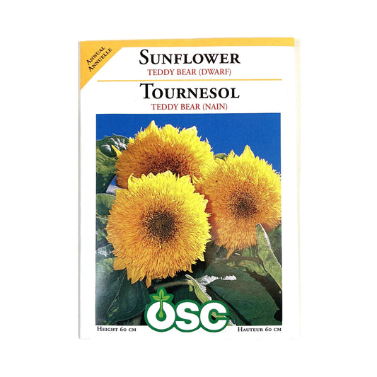 Sunflower - Teddybear Dwarf Seeds, OSC